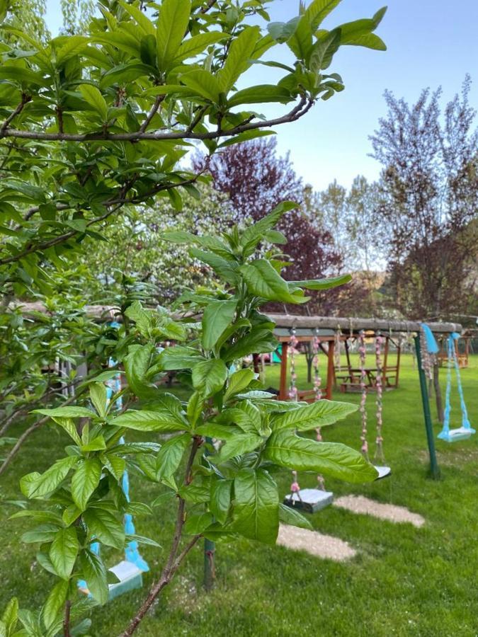 Abant Yesil Vadi Koc Pansiyon Dereceören Kültér fotó