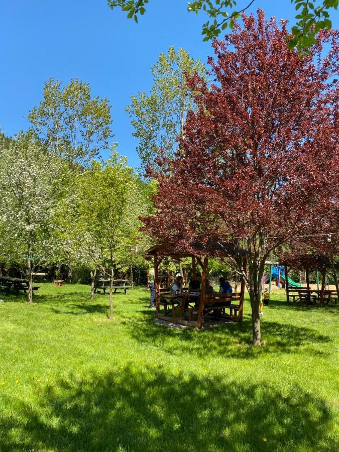 Abant Yesil Vadi Koc Pansiyon Dereceören Kültér fotó
