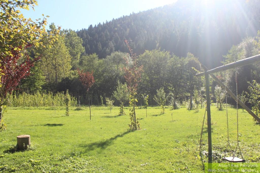 Abant Yesil Vadi Koc Pansiyon Dereceören Kültér fotó
